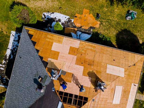 Roof Gutter Cleaning in Melissa, TX